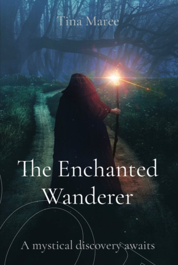 The Enchanted Wanderer Series The Fools Journey